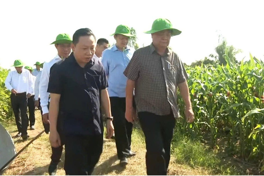 An Giang embraces ‘symbiotic agriculture’ through Antesco’s partnership model